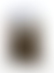 "Lincoln in Springfield" | Reviewed by Bill Schwab