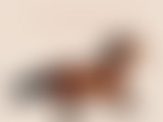 "The Horse" | Reviewed by Bill Schwab