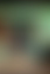 "The Paris Bookseller" | Reviewed by Pat Sainz