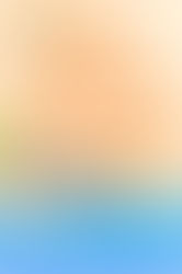 "One Italian Summer: A Novel" | Reviewed by Chris Stuckenschneider