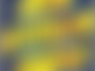 "The Housekeepers" | Reviewed by Pat Sainz