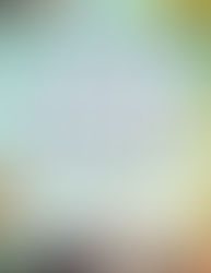 "The Jane Austen Society" | Reviewed by Pat Sainz