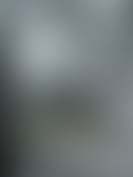 "Carson the Magnificent" | Reviewed by Bill Schwab