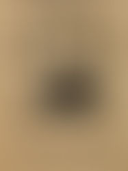 "The Barn" | Reviewed by William Winkler