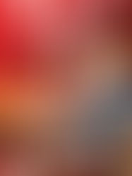 "The First Time I Saw Him" | Reviewed by Diane Lick