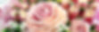 Classic Bouquets