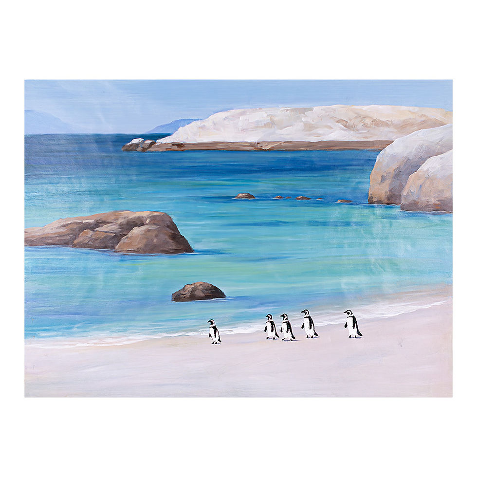 Boulders Penguins 4