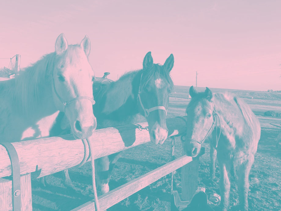 to Orrick Acres St. Joseph, MO