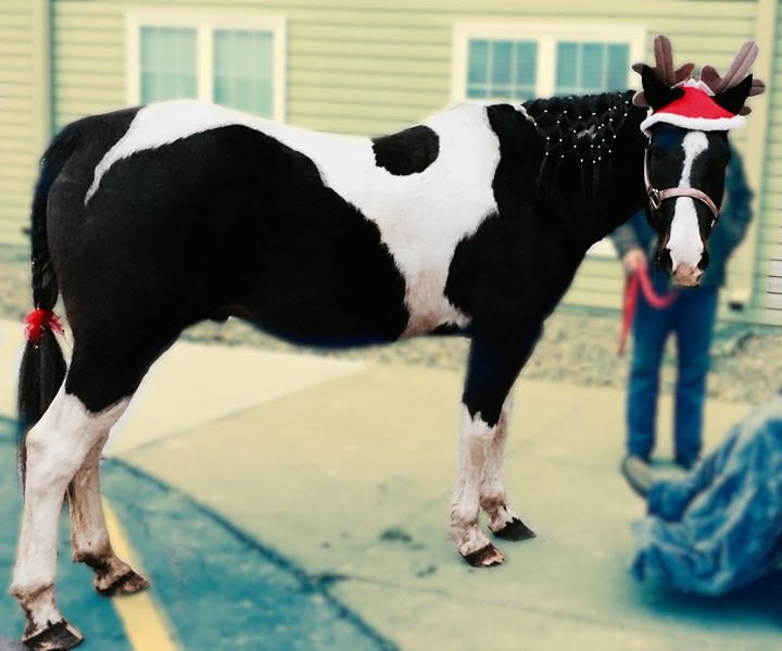 Schedule St. Joe, MO Orrick Acres