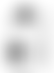 今年もお世話になりました