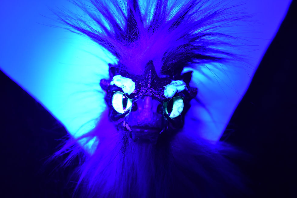 Thumbnail: Cayzai
