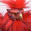 Thumbnail: Kynthia