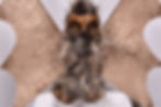 Thumbnail: Jimmy Tallon