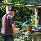 Alimentación de animales