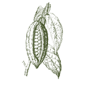 Untitled design (2).png