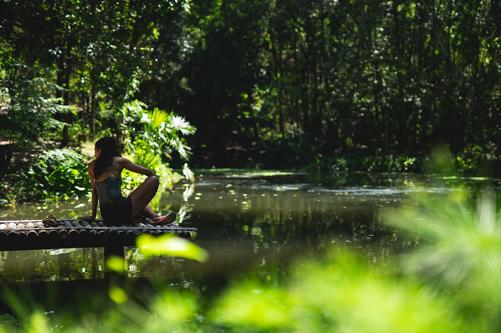 The Silent Language of the Forest: Reconnecting with Nature in Modern Times