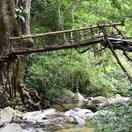 Puente indígena