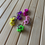 Thumbnail: OB.KIDS.BloemRoze