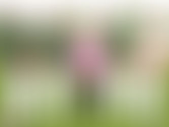 San Jacinto College's baseball team's Play Pink game sets fundraising record