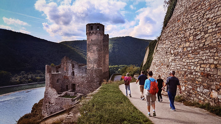 DE_Rüdesheim_Vineyard hike_RF_EMP jenisse m 17_CG.jpg