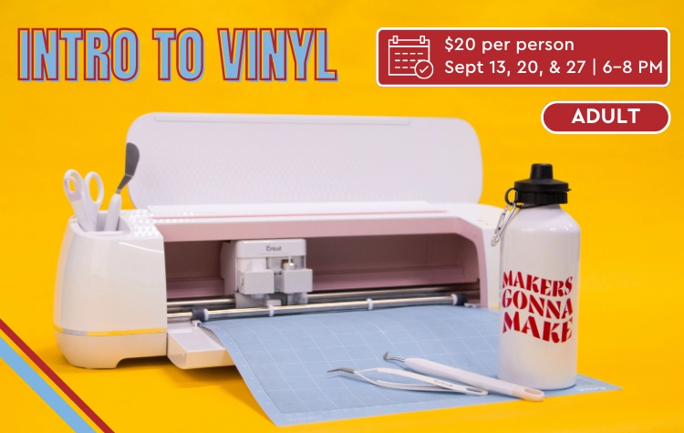 Intro to Vinyl promo