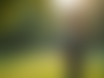 Babybauchshooting Berlin günstig: Details und Preise