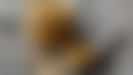 The Creamy Switch: Why Peanut Curd Is the New Cool