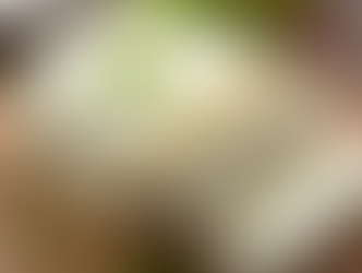 From Scratch to Savory: Why Homemade Tofu Is Better