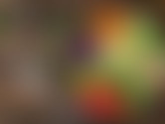 A Bowl of Balance: The Vegan Buddha Bowl