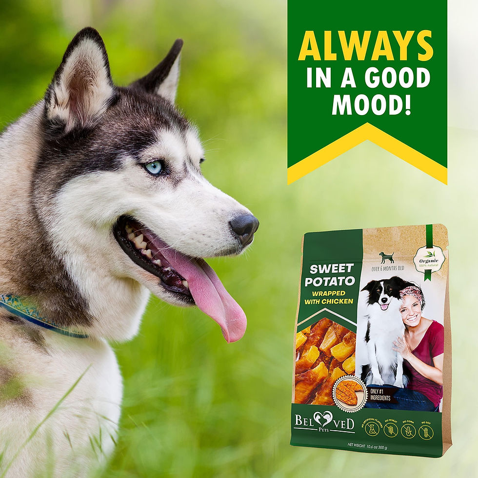 Thumbnail: Dog Sweet Potato Wrapped with Chicken Pet Natural Chew Treats Grain Free Snacks
