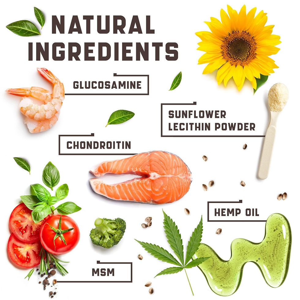 Thumbnail: Glucosamine for Dogs Functional Dog Joint Supplement with Chondroitin Msm Hemp