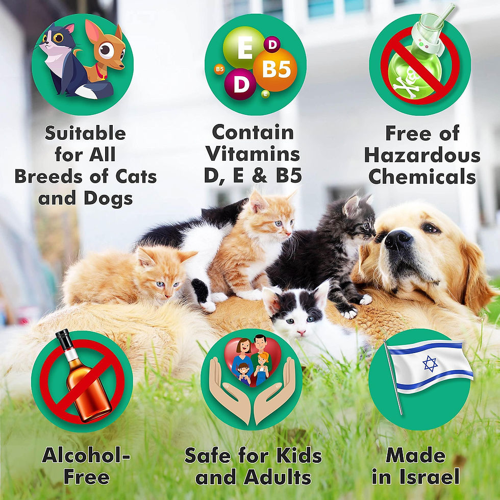 Thumbnail: Pet Eye Wipes for Dogs Cats Puppies Kittens 100 Count Natural Medicated Remove
