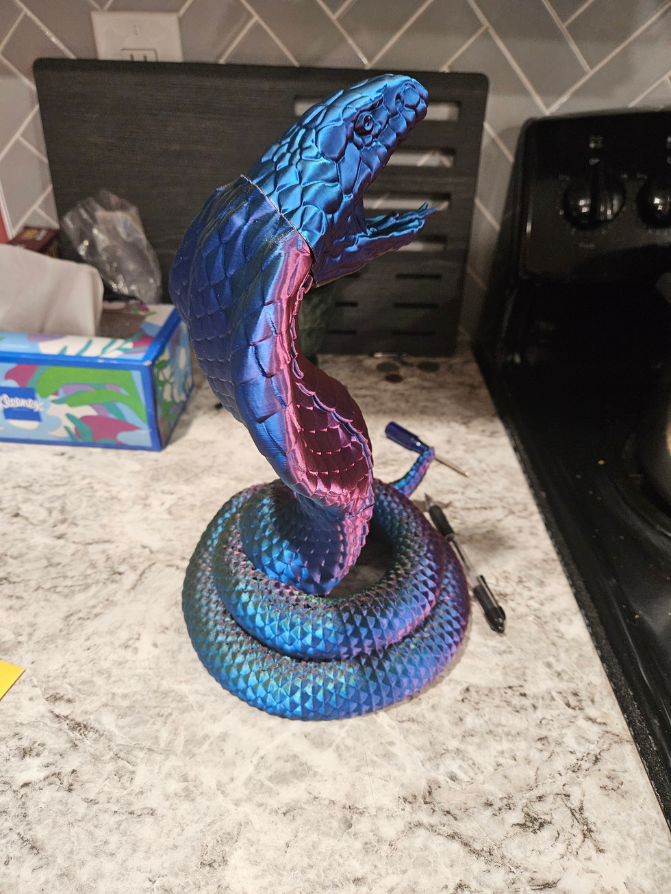 20241118_162929