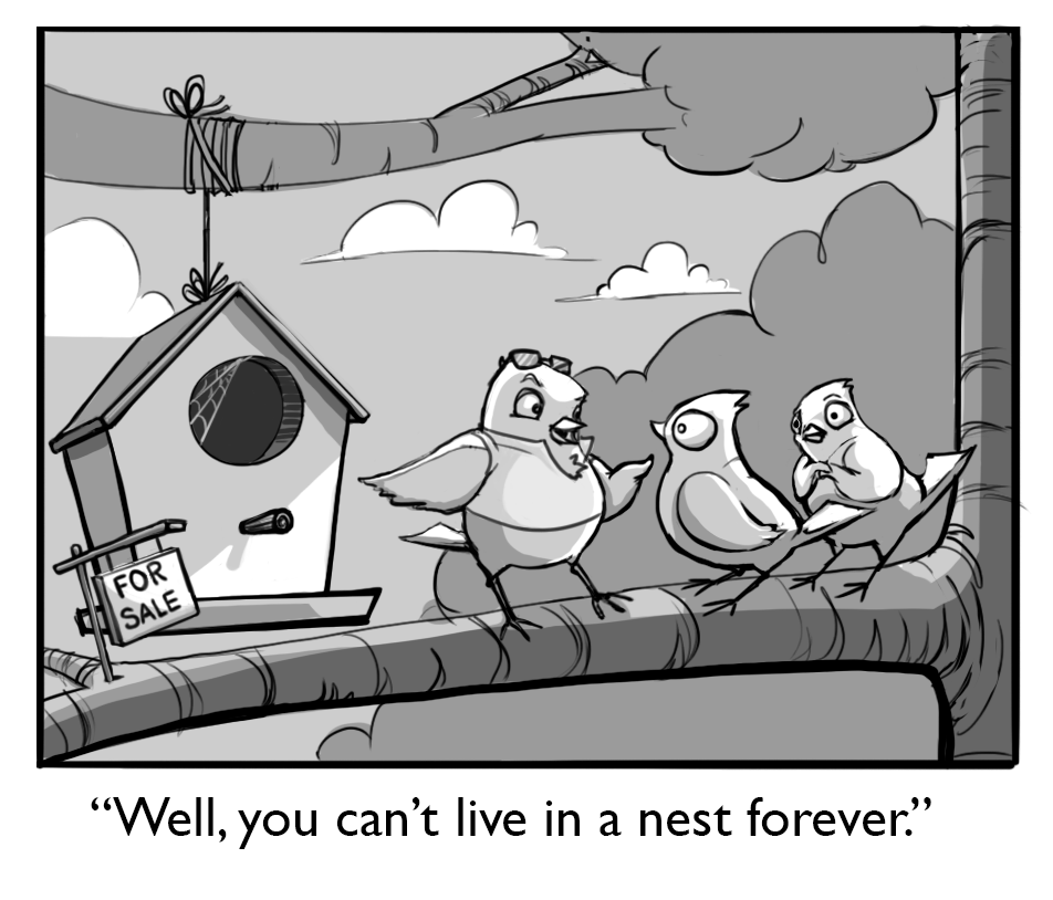 birdhouse.gif