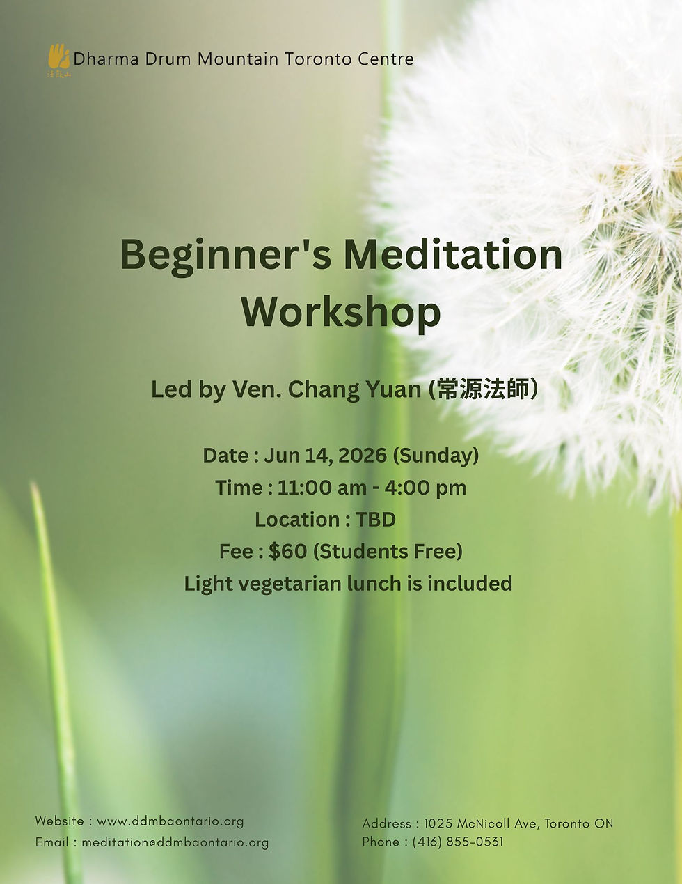Beginner's Meditation Workshop