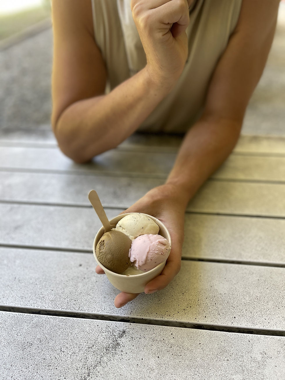 Daintree icecream factory