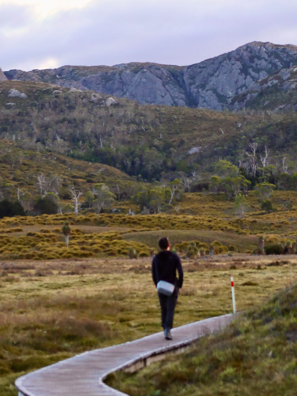 Cradle Mountain hikes
