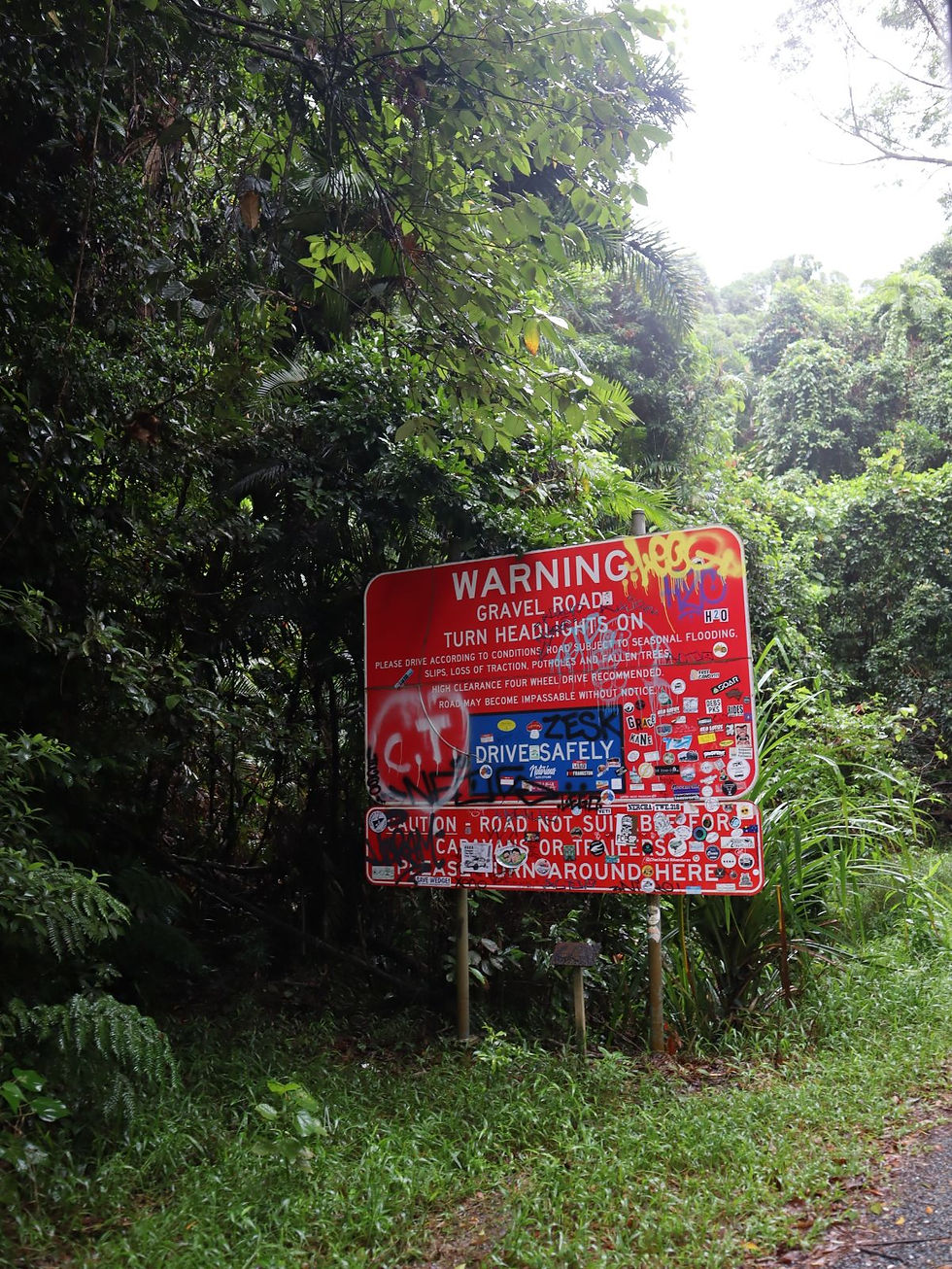 bloomfield Daintree rainforrest
