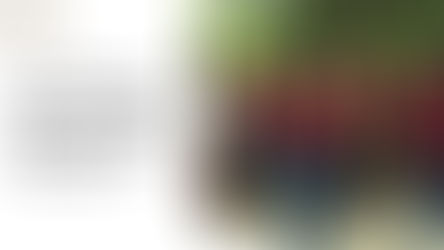 Why Corporate Teams Would Prefer To Be in Nature Than Boardrooms