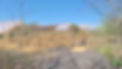 Render 1.jpg