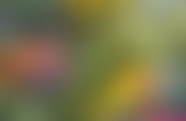 Plant Nursery Delco Gardeners Visit When Planning Better Outdoor Spaces