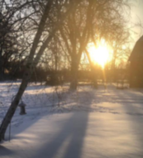 Screenshot 2025-09-21 12.25.25 PM.png