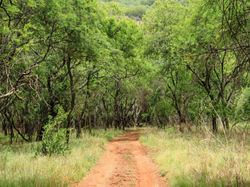 Picture4 (2).jpg
