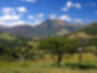 Picture9.jpg