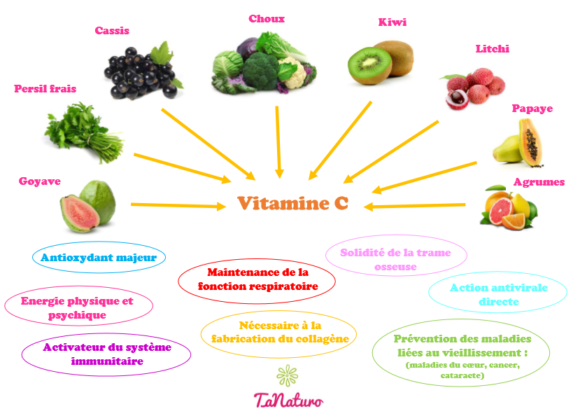 aliments riches en vitamine C