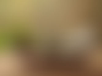 une balance en bois montrant l'équilibre entre la médecine entre la médecine allopathique (représentée par des médicaments) et la naturopathie (représentée par des plantes et produits naturels)