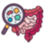 Microbiote intestinal