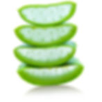 aloe vera contre ls mycoses vulvaires