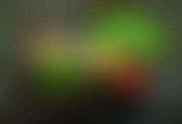 Faut-il manger les légumes crus ou cuits ?