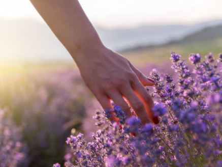Témoignage : Comment je suis devenue naturopathe, ma reconversion professionnelle.